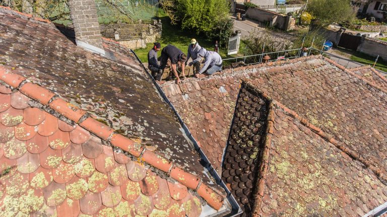 quels-materiaux-pour-votre-toiture-a-nancy 205615